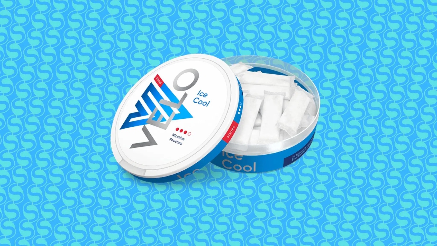Hur ska man Förvara Tobaksfritt Snus? [Nikotinpåsar Förvaring]