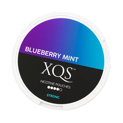 XQS Blueberry Mint Slim Extra Strong
